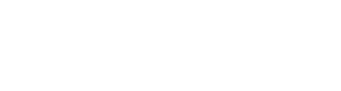 Maverick Business Academy Logo